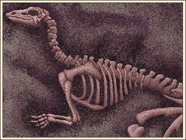 Dinosaur Remains
