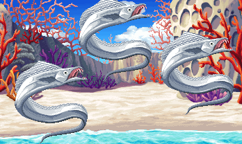 Shore Fish