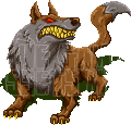 Wolf
