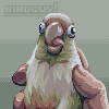 Bird in Hand