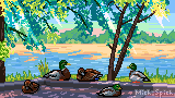 Ducks