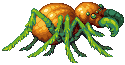 Pumpkin Spider
