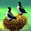 Two Giant Auks