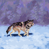 Wolf