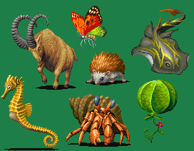 Animals