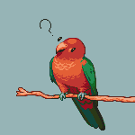Parrot