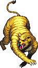 Saber Tooth Tiger