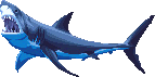 Shark