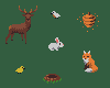 Forest Animals