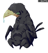 Fat Raven