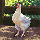 Hen
