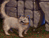 code_113_31798854580_o