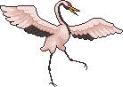Crane Bird