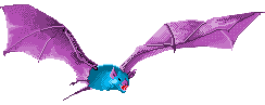 Bat