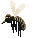 _moskito