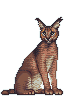 Lynx