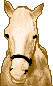 _char_horse