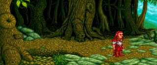 Woods