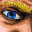 Eye