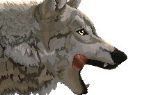 _char_wolf