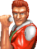 _char_rob