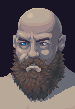 Bearded Man Portrait