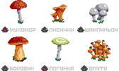 Mushrooms
