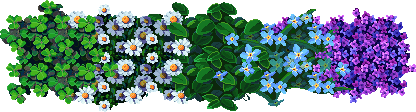 Flower Border