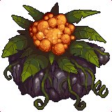 Wild Flower