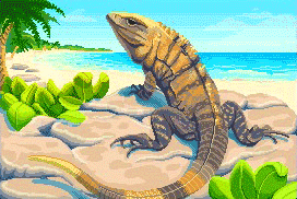 Iguana