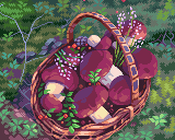 Mushrooms