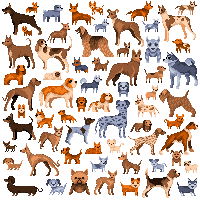 Dogs