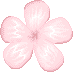 Pink Petals