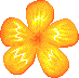Orange Petals