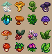 Plants
