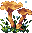 Mushrooms