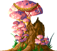 _mushrooms